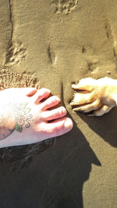 Pistón und ich im Watt