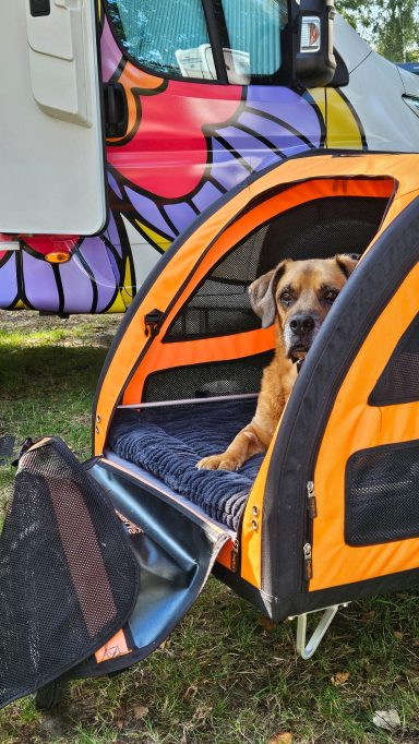 Pistón in seinem "Auto" beim Campen in der Lüneburger Heide